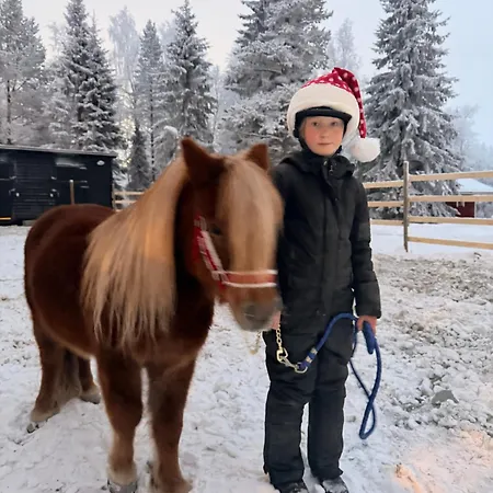 Perinteinen Mökki, Walking Distance From Centre Chalet *