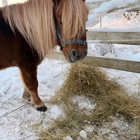 בקתה Perinteinen Moekki, Walking Distance From Centre Kittilä