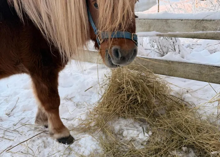 Chalet Perinteinen Moekki, Walking Distance From Centre Kittilä